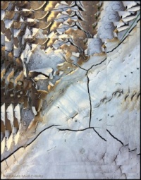 Badlands Mud Cracks-2