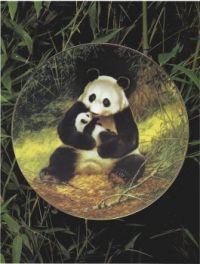Wolong Panda Project