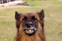 just finishing my ice cream ... yum