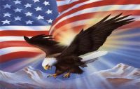 Awesome Eagle