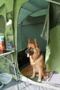 enjoying camping