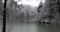 Winter-Landscape