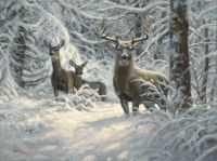 Winter Lace - by Mark Keathley (Slightly Large)