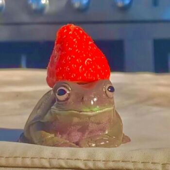 Solve Adorable Frog With Strawberry On It’s Head jigsaw puzzle online ...