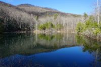 Peaceful Lake in SC