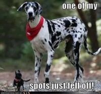 Funny!!!!