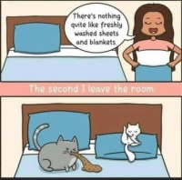 Why is this true?
