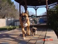 Jenny & Willow