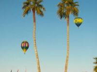 477 Hot Air Balloons