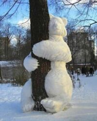 A Snowbear Hug