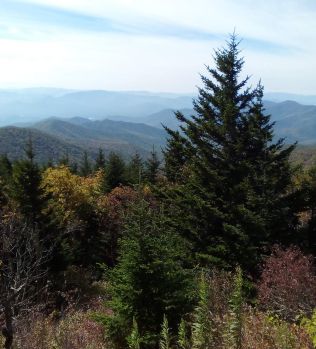 A classic view of the Great Smokies