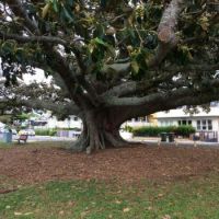 Shorncliffe Queensland