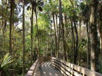 Blue Springs State Park Florida