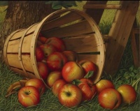 "Apples Spilling Out Basket"