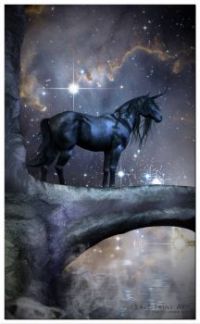 the_black_unicorn