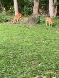 Three this morning