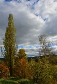 Podzim na Šumavě