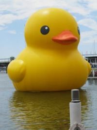 Rubber Duckie