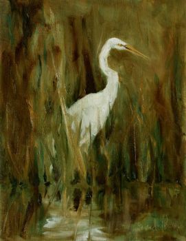 little satilla egret