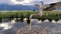 June 28 2025 Osprey under Attack