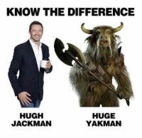 And they look alike