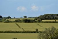 DSC_0041 (2)