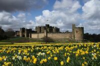 Alnwick Castle Northumberland England UK