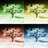 4seasons small