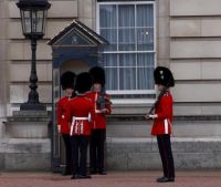 Buckingham Palace Guard