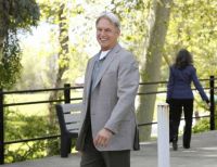 Gibbs Walking