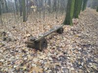 Abandoned Bench - Autumn