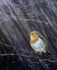 Art - Seasonal - Winter - Bird - Robin