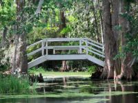 Bridge, Magnolia Gardens, SC,