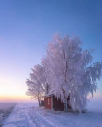 Small Shack in the Snow