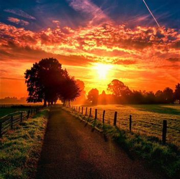 Solve Country morning sunrise jigsaw puzzle online with 81 pieces