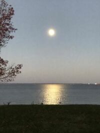 Moon over the Chesapeake