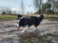 Enjoying the mud and water ❤️