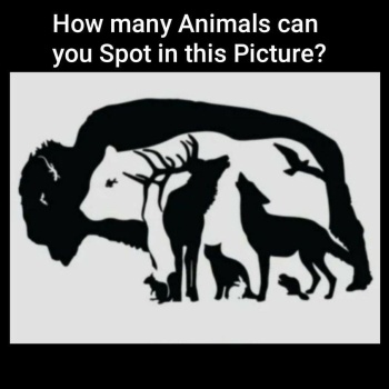 Jigsaw Puzzle | How many Animals can you find | 36 pieces | Jigidi