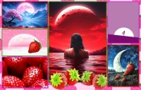 Strawberry June Moon
