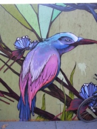 Street art by Jeroo (1)