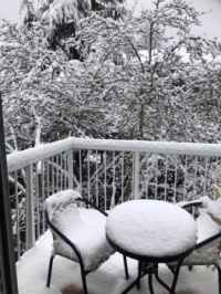 A White World in Friend’s Garden on Vancouver Island