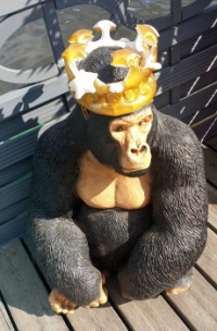 The King