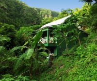 In the hills of Dominica, the Nature Island