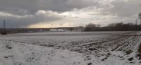 Winter field