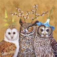 Madcap Owls