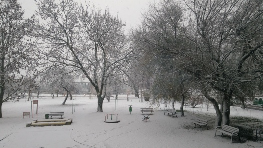 Solve First snow this winter jigsaw puzzle online with 112 pieces