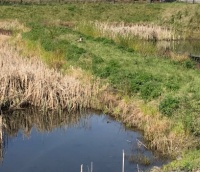 City owned wetland