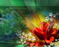 3-D Flower