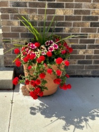 Beautiful Flower Pot