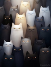 Cats Crowd